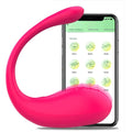 9 Speed APP Controlled Vaginal Vibrators G Spot Anal Vibrating Egg Massager Wearable Stimulator Adult Sex Toys for Women Couple